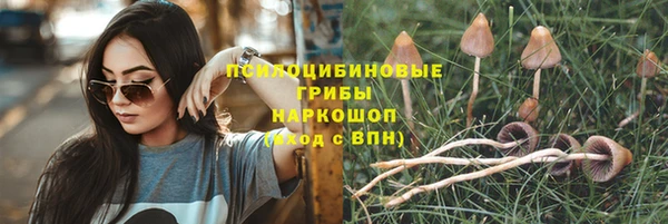 прущие крисы Аркадак