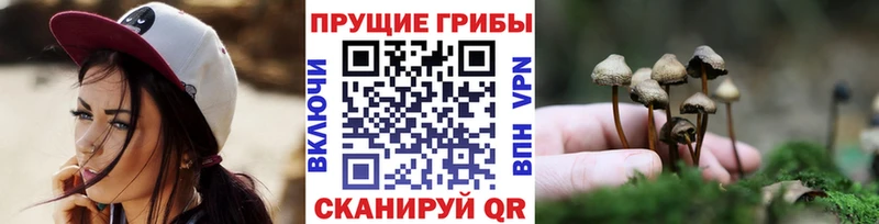 Псилоцибиновые грибы Magic Shrooms Карачев